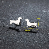 Brincos de Estudo de Dachshund